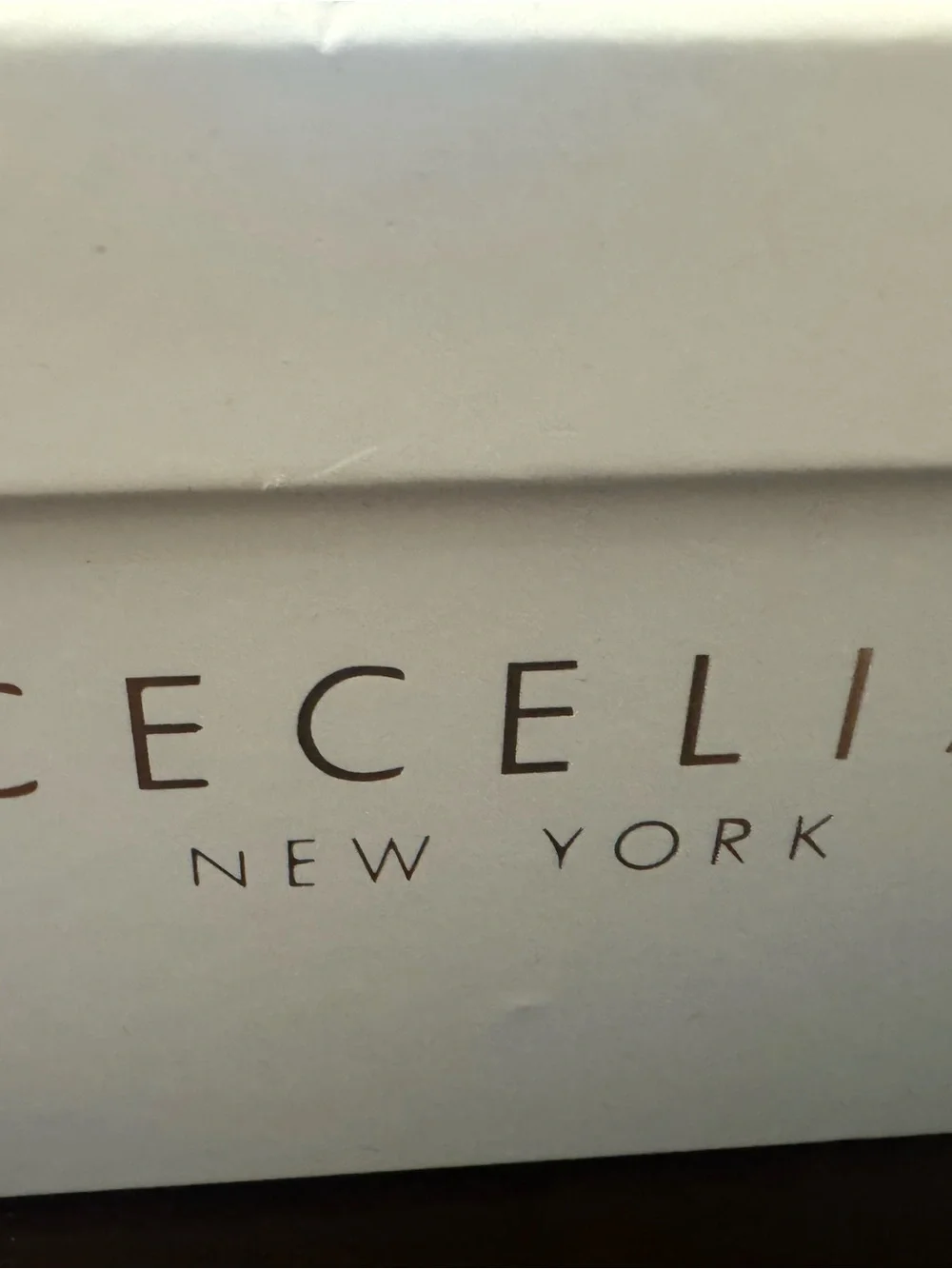 CECELIA NEW YORK Black Floral Leaf Slide Sandals